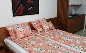 Apartment Masic